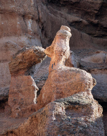 Donald Duck of the Charyn Canyon