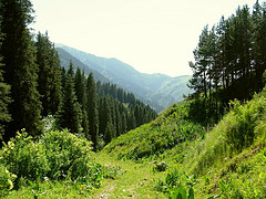 Mountains around Almaty  in summer