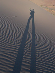 Dancing on Singing Sand