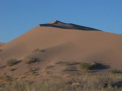 Traces of Nightlife on Singing Sand Dunes