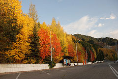 Autumn Colors on the road to Medeo