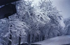 Winter in Almaty